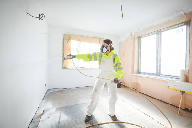 Best Mold Removal for HVAC Installations  in Cascade Valley, WA