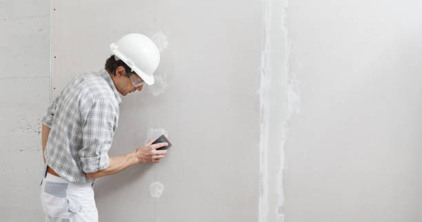 Best Attic Mold Removal  in Cascade Valley, WA