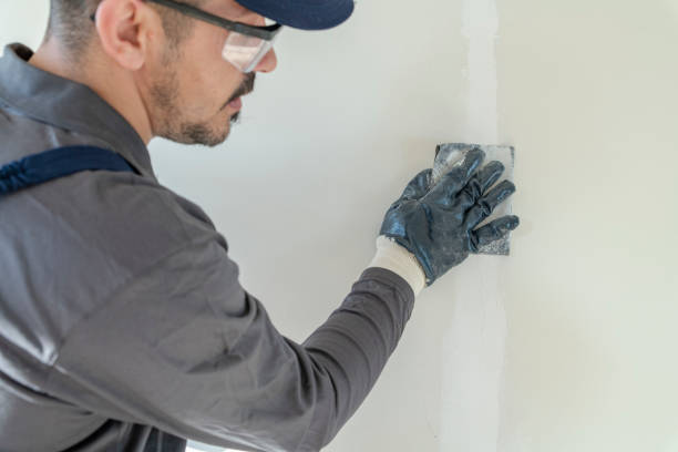 Best Comprehensive Air Testing for Mold Contaminants  in Cascade Valley, WA