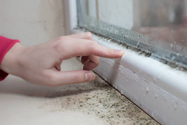Best Asbestos and Lead Testing During Mold Inspection  in Cascade Valley, WA