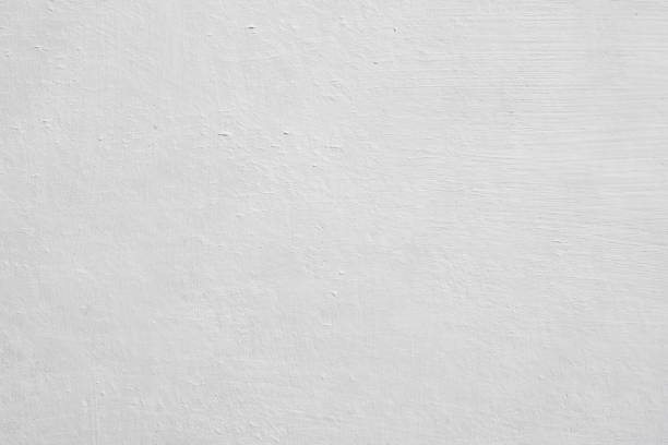 Mold Remediation for Vacation Homes in Cascade Valley, WA