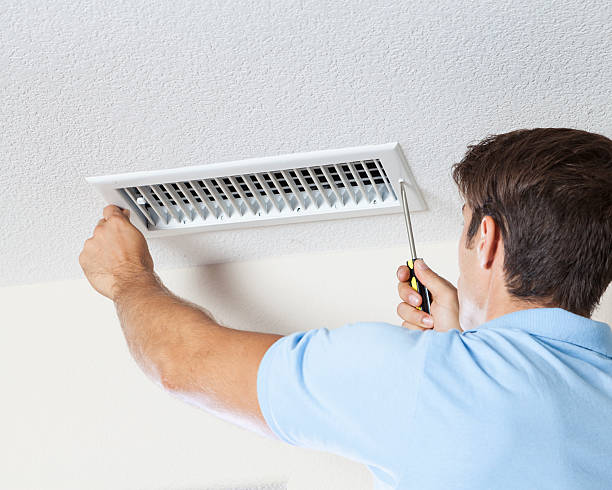 Best Mold Remediation for Vacation Homes  in Cascade Valley, WA