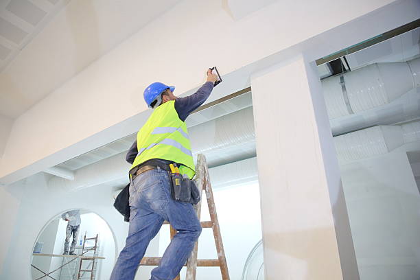 Best Basement Mold Removal  in Cascade Valley, WA