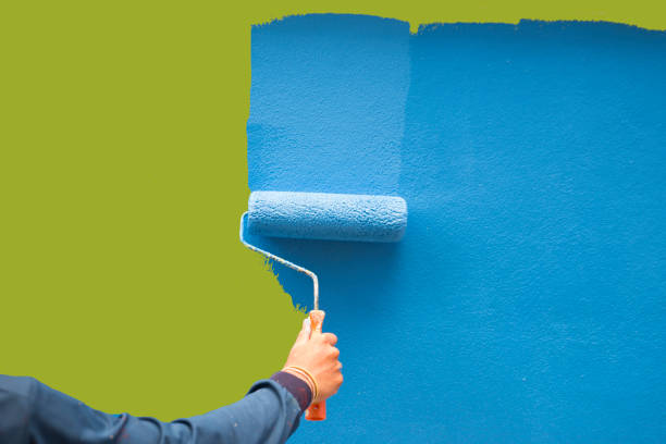 Best Mold Documentation for Insurance Claims  in Cascade Valley, WA